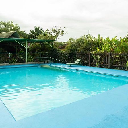 Cabanas El Bosque Turrialba Zewnętrze zdjęcie