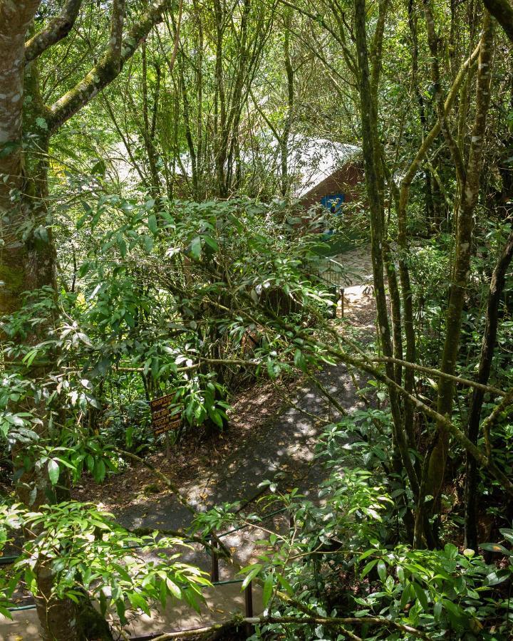 Cabanas El Bosque Turrialba Zewnętrze zdjęcie