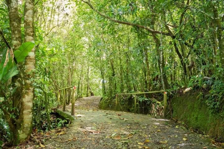 Cabanas El Bosque Turrialba Zewnętrze zdjęcie